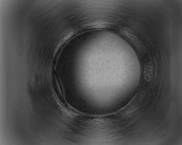 X0000052630394200507160136