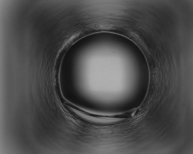 X0000052630395200507160136
