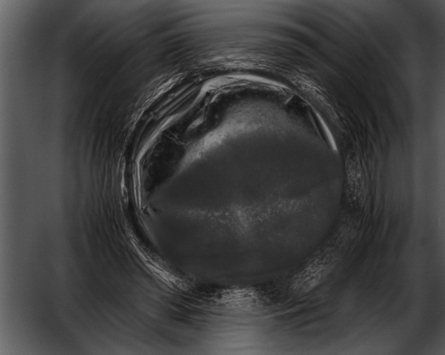 X0000052630398200507160136