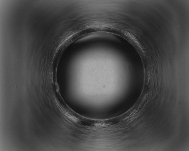 X0000052630399200507160136