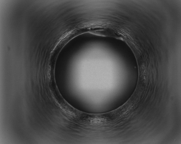 X0000052630400200507160136