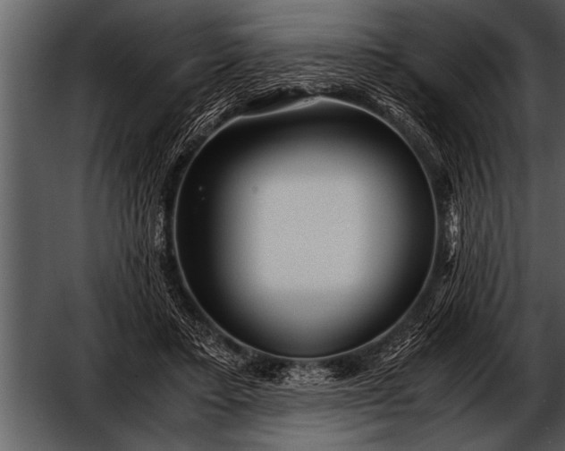 X0000052630403200507160136