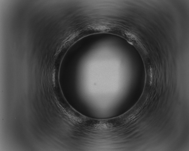 X0000052630404200507160136