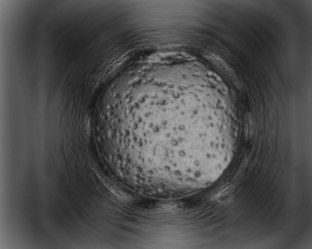 X0000052630405200507160136