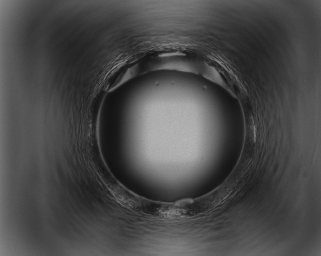 X0000052630407200507160136
