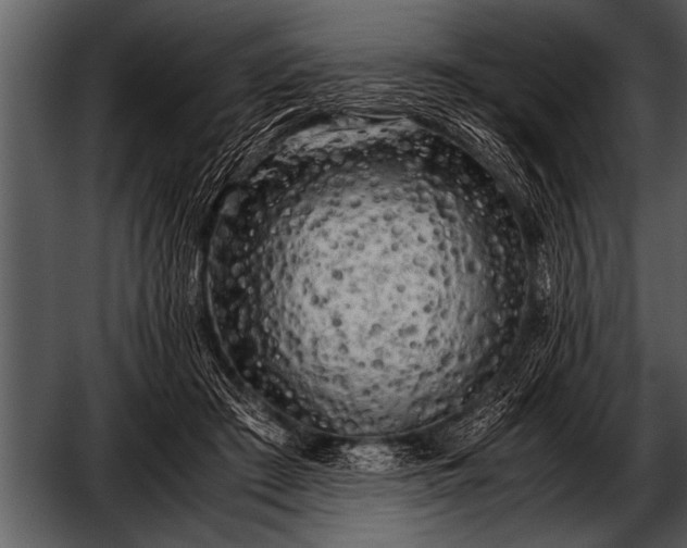 X0000052630409200507160136