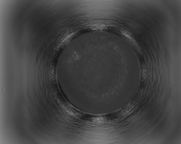 X0000052630411200507160136