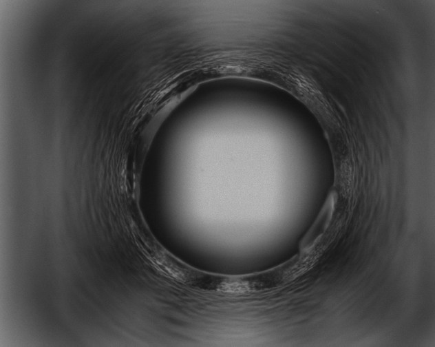 X0000052630413200507160136