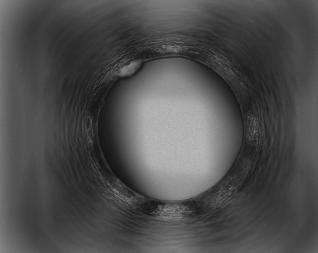 X0000052630414200507160136