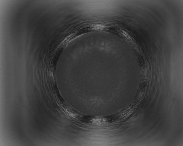 X0000052630415200507160136