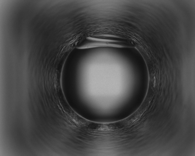 X0000052630416200507160136