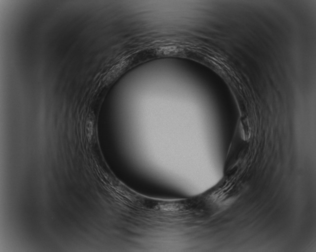 X0000052630417200507160136