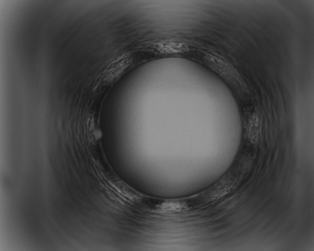 X0000052630418200507160136