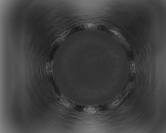 X0000052630419200507160136