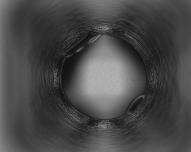 X0000052630420200507160136