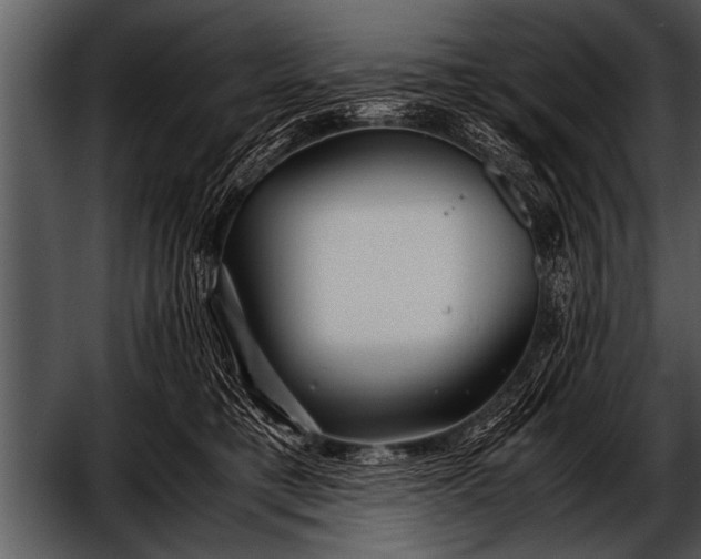 X0000052630421200507160135