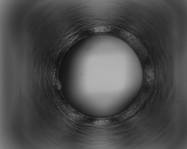 X0000052630422200507160135