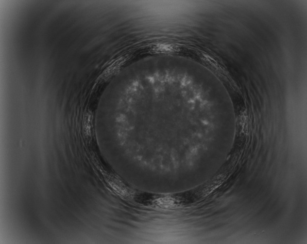 X0000052630423200507160135