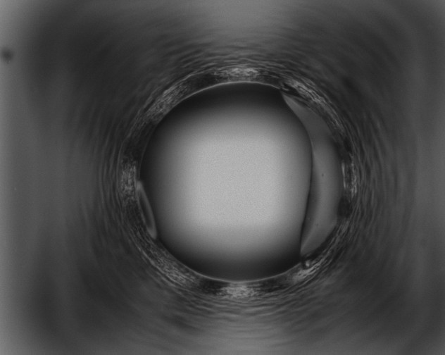 X0000052630425200507160135