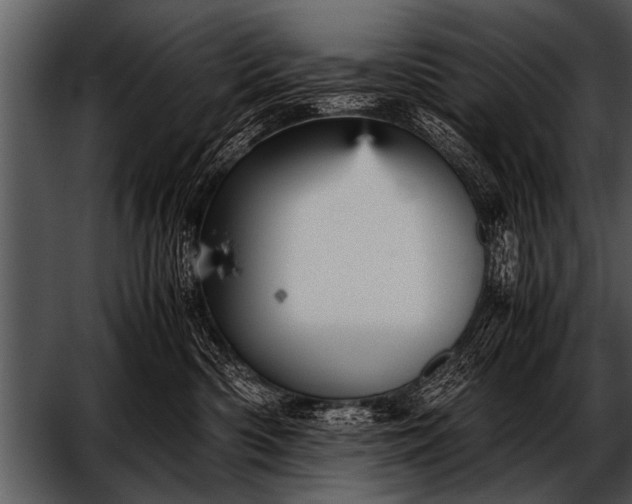 X0000052630426200507160135