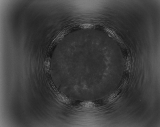 X0000052630427200507160135