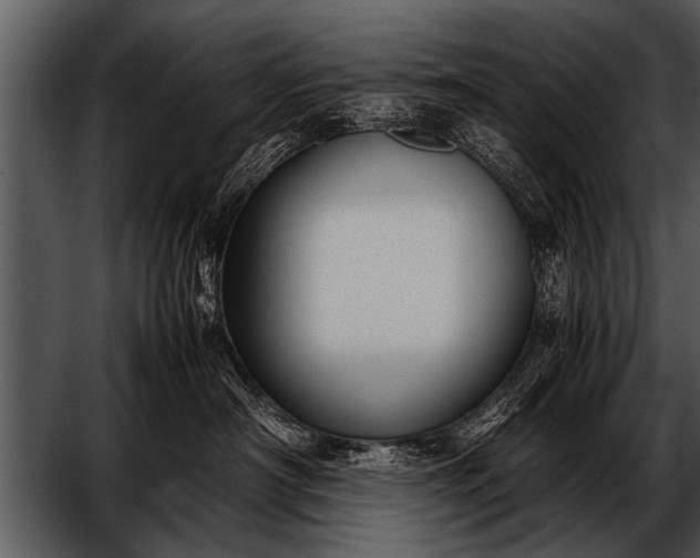 X0000052630430200507160135