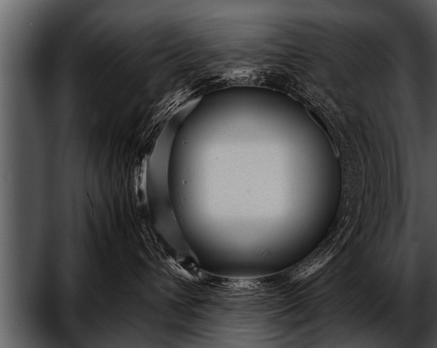 X0000052630432200507160135