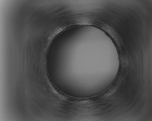 X0000052630433200507160134
