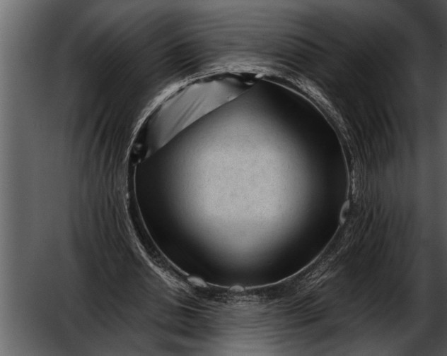 X0000052630438200507160135