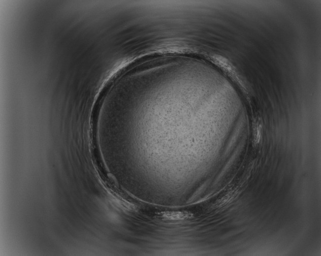 X0000052630439200507160135