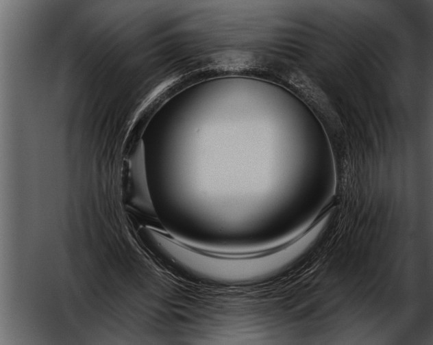 X0000052630440200507160135
