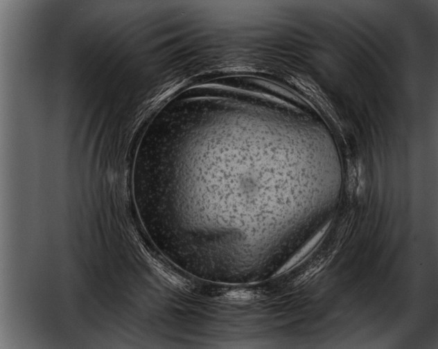 X0000052630441200507160135