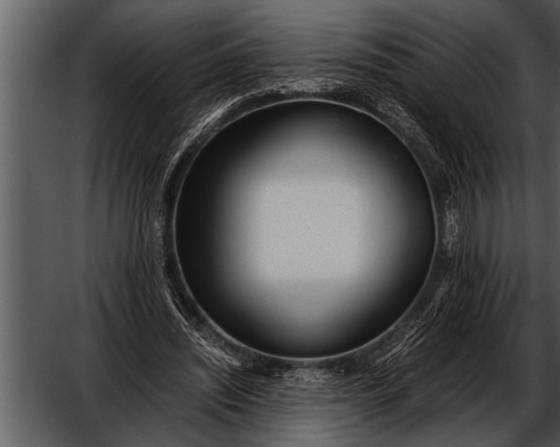 X0000052630444200507160135