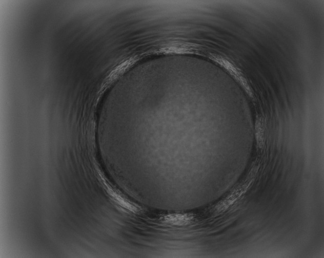 X0000052630445200507160135