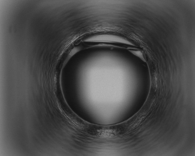 X0000052630448200507160135