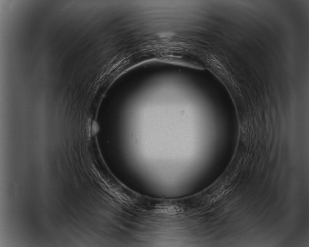 X0000052630454200507160135