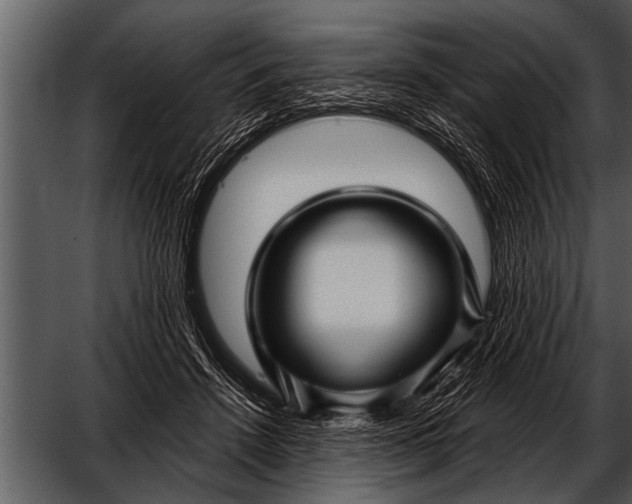 X0000052630456200507160135