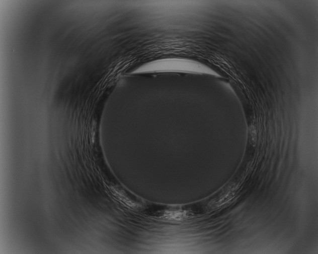 X0000052630458200507160135