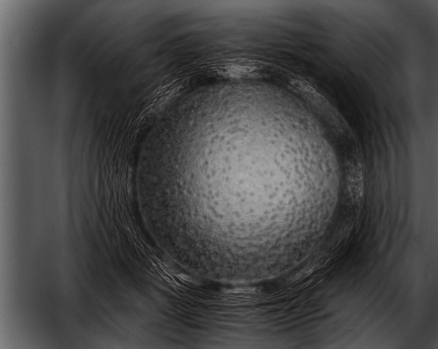 X0000052630461200507160135