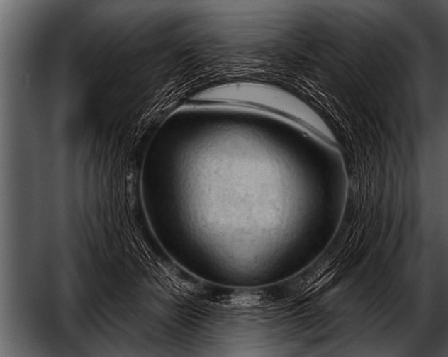 X0000052630462200507160135