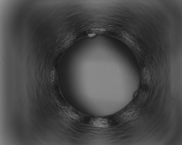 X0000052630463200507160135