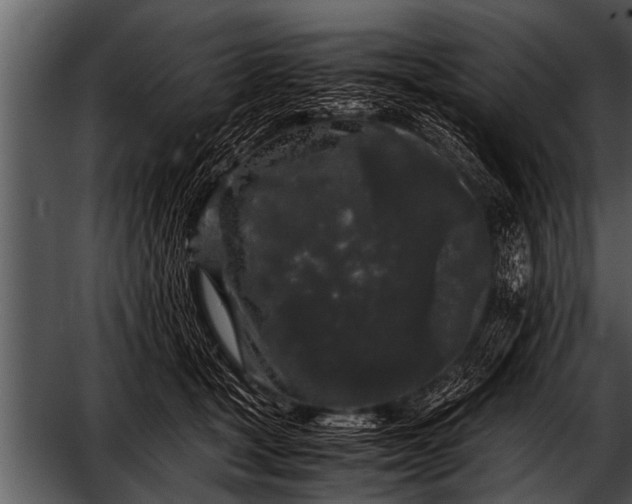 X0000052630465200507160135