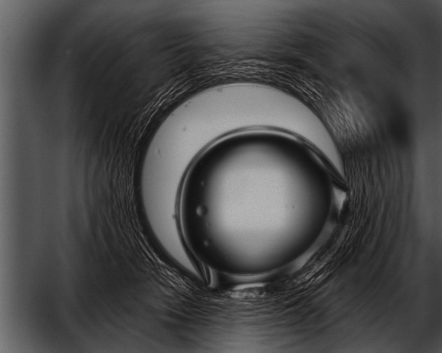 X0000052630466200507160135