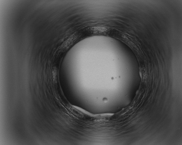 X0000052630468200507160135