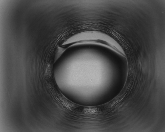 X0000052630469200507160135