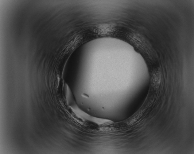 X0000052630470200507160135