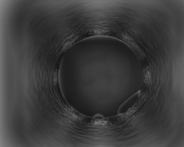 X0000052630471200507160135