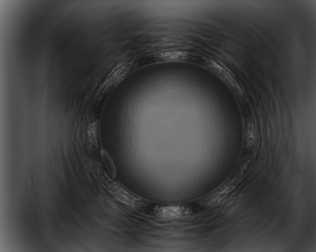 X0000052630473200507160135