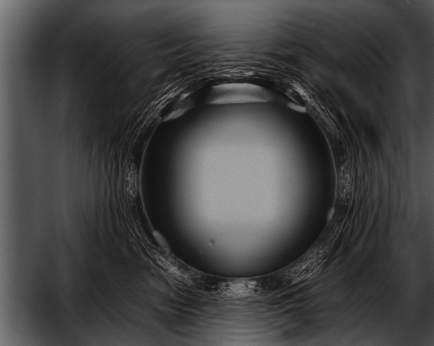 X0000052630474200507160135