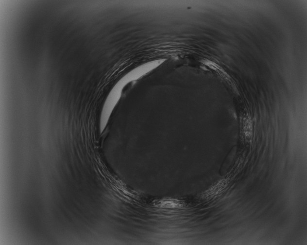 X0000052630475200507160135